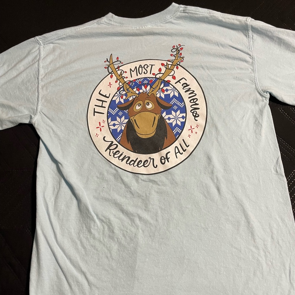 Frozen themed shirt